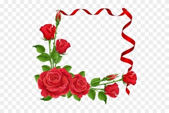 Roses Transparent