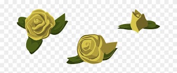 Roses, Yellow, Flowers, Buds, Blooms - Garden Roses