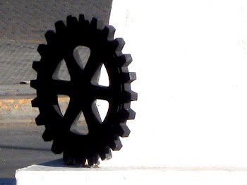Rotary_Club_2307.JPG