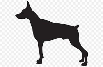 Rottweiler German Shepherd Guard dog Puppy Purebred dog - Doberman Dog Silhouette PNG Transparent Clip Art Image 