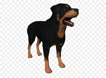 Rottweiler Puppy Bulldog English Mastiff Spanish Mastiff - puppy 