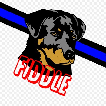 Rottweiler Puppy Labrador Retriever Cat Pet - puppy 