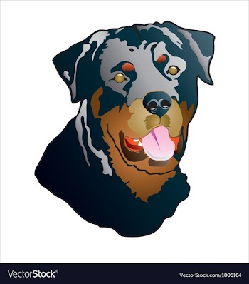 Rottweiler vector image