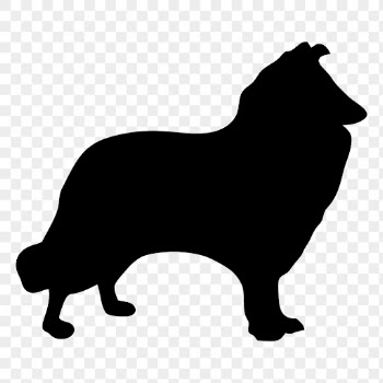 Rough Collie png dog sticker | Free PNG - rawpixel