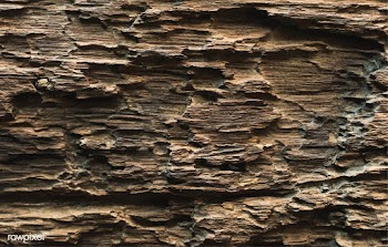 Rough timber textured background design | Free stock vector - 525314