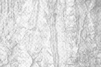 Rough wood png overlay texture, | Free PNG - rawpixel