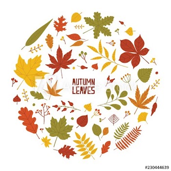 Round autumn composition with dried tree leaves, branches and berries isolated on white background