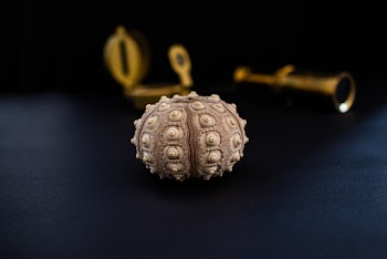 Round Brown Accessory Close-up Photography