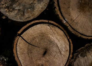 Round Brown Wooden Slab