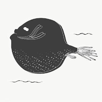 Round fish drawing vector | Free stock vector - 47033