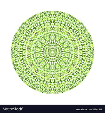 Round geometrical colorful circular stone vector image