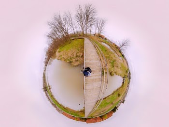 Round Green and White Illustration