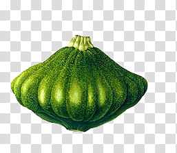 , round green vegetable transparent background PNG clipart