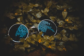 Round Grey Framed Black Lens Sunglasses on Yellow-petaled Flower Plants
