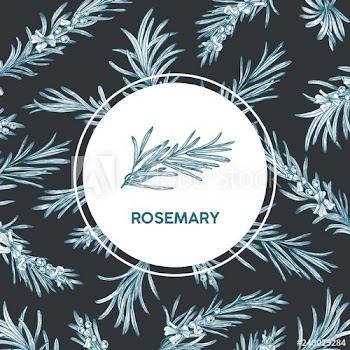 Round label decorated by rosemary sprig drawn with contour lines