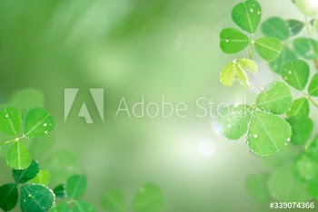 Round leaves