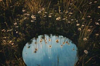 Round mirror on a field of daisies