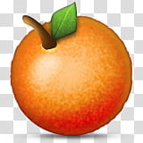 Round orange fruit illustration transparent background PNG clipart