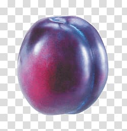 Round purple fruit illustration, Isolated Plum transparent background PNG clipart