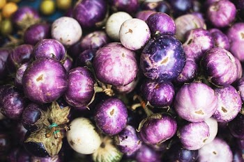 round purple fruit lot
