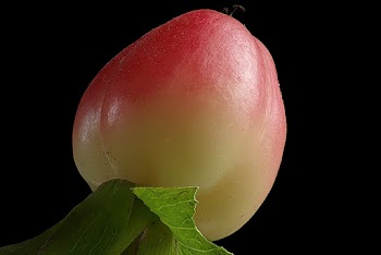 Round Red and Yellow Fruit