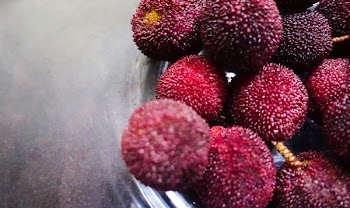 Round Red Fruit Lot