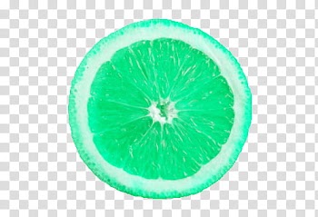 Round teal fruit illustration transparent background PNG clipart