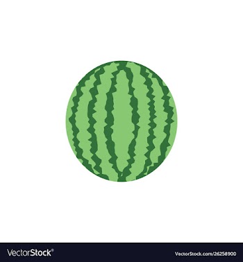 Round watermelon icon isolated vector image