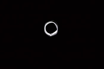round white illustration