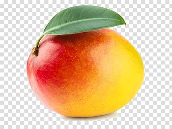 Round yellow and red fruit, Mango transparent background PNG clipart
