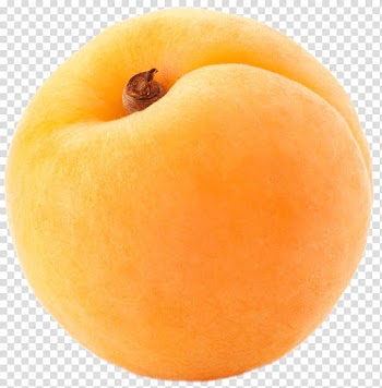 Round yellow fruit, Apricot Large Single transparent background PNG clipart