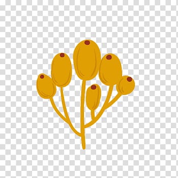 Round yellow fruit illustration transparent background PNG clipart