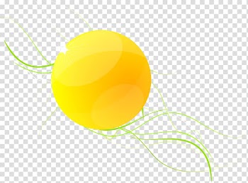 Round yellow illustration, Circle Geometry Abstraction, Abstract geometric lines round transparent background PNG clipart