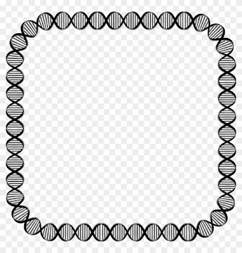 Rounded Square - Dna Border Clipart