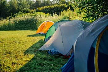 Row Of Camping Tents