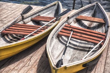 Rowing Boats Free Photo 