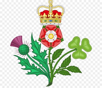 Royal badges of England Tudor rose House of Tudor White Rose of York - Images Badges 