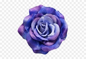 Royal Blue - Blue Rose