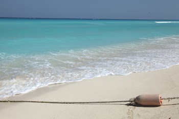 Royal holiday,Playa