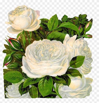 Royalty Clip Art Vector Logos Of Black And White Roses - Vintage White Rose Png