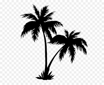 Royalty-free Arecaceae Drawing Tree - palm tree silhouette 