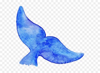 Royalty-free Blue whale Drawing Illustration - Cartoon fish tail 