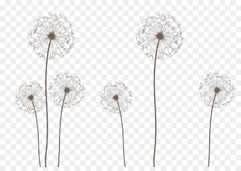 Royalty-free Clip art - dandelion seeds 
