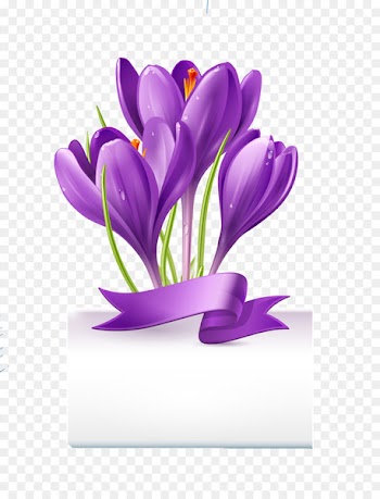 Royalty-free Crocus Stock photography Flower - Purple flowers vector material 
