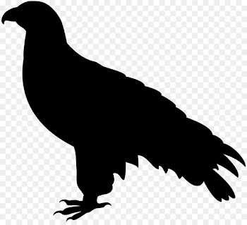 Royalty-free Silhouette Falcon - Silhouette 