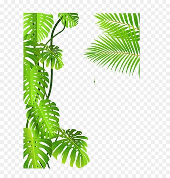 Royalty-free Tropical rainforest Drawing Clip art - forest 