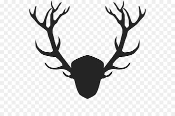 Royalty-free Vector graphics Stock photography Logo Stock illustration - badger stamp 