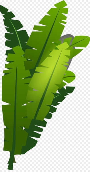Royaltyfree, Stock Photography, Royalty Payment, Leaf, Plant PNG