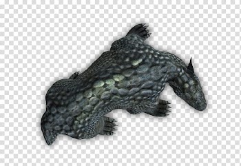 RPG Map Elements , black animal illustration transparent background PNG clipart