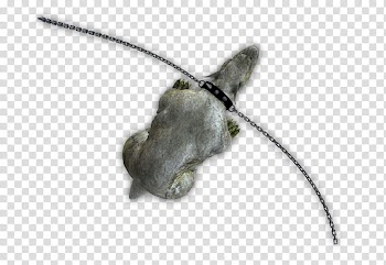 RPG Map Elements , gray animal transparent background PNG clipart